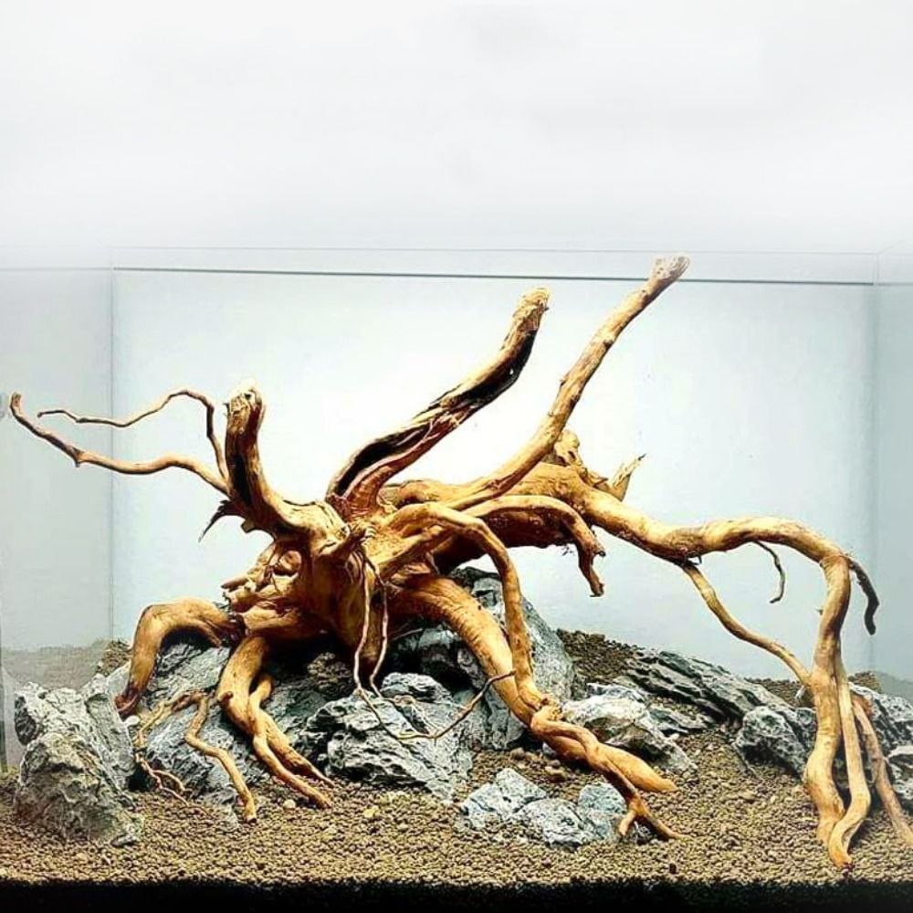 Aquarium Plant Root Tabs - Natural Tree Trunk Aquarium Decoration Wood
