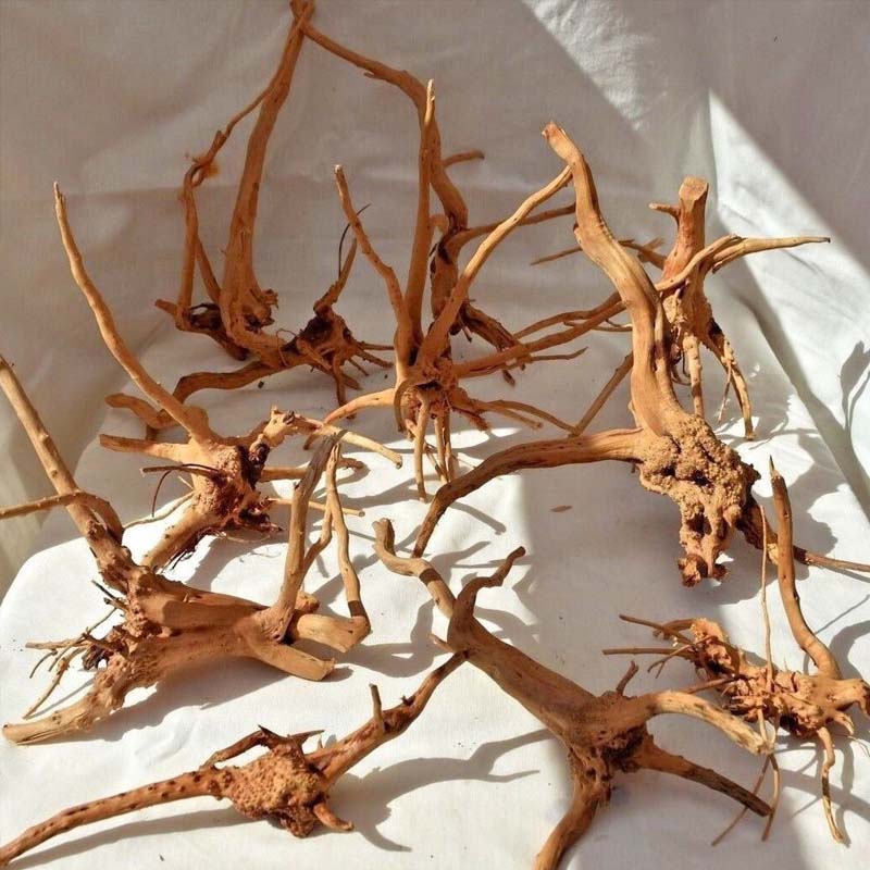 Aquarium Plant Root Tabs - 1PC Driftwood for Aquarium,Natural Spider Wood