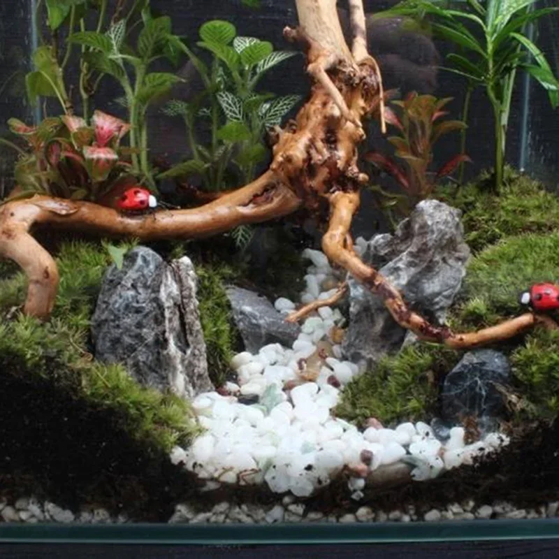 Natural Tree Trunk Driftwood A - огляд і ціна Aquarium Plant Root Tabs