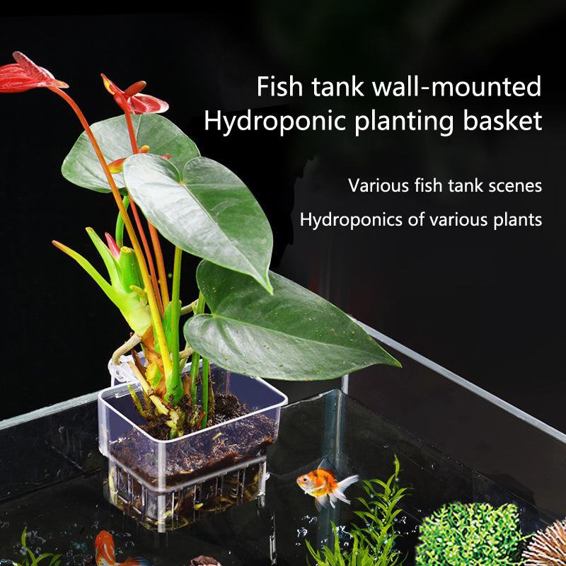 Aquarium Hydroponic Planting C - огляд і ціна Aquarium Planted Tank Setup
