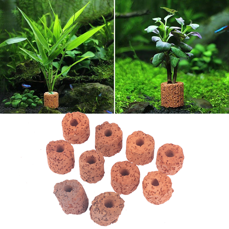 10Pcs Mini Aquatic Plant Ring  - огляд і ціна Aquarium Planted Tank Setup