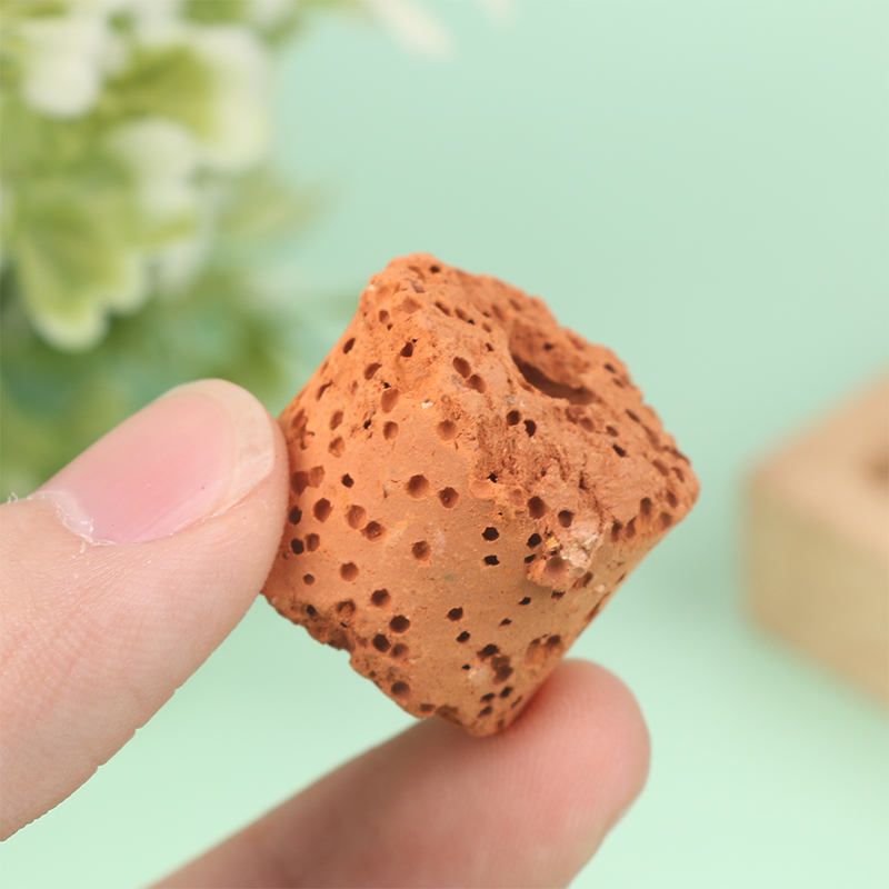 10Pcs Mini Aquatic Plant Ring  - огляд і ціна Aquarium Planted Tank Setup