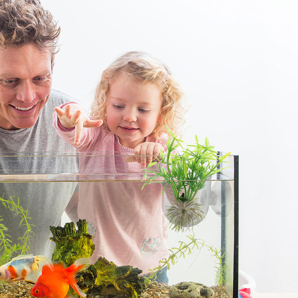 10Pcs Acrylic Aquarium Planter - огляд і ціна Aquarium Planted Tank Setup
