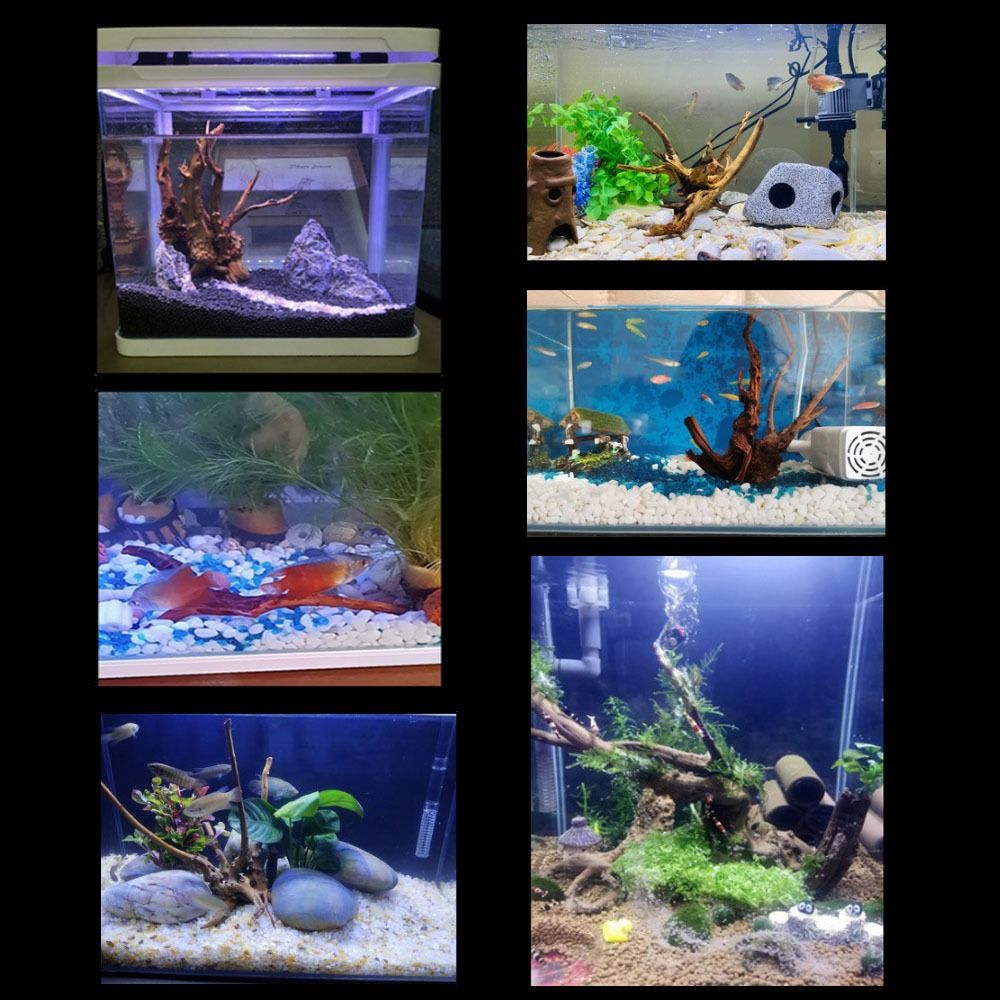 20-25CM Large Aquarium Driftwo - огляд і ціна Aquarium Plant Root Tabs