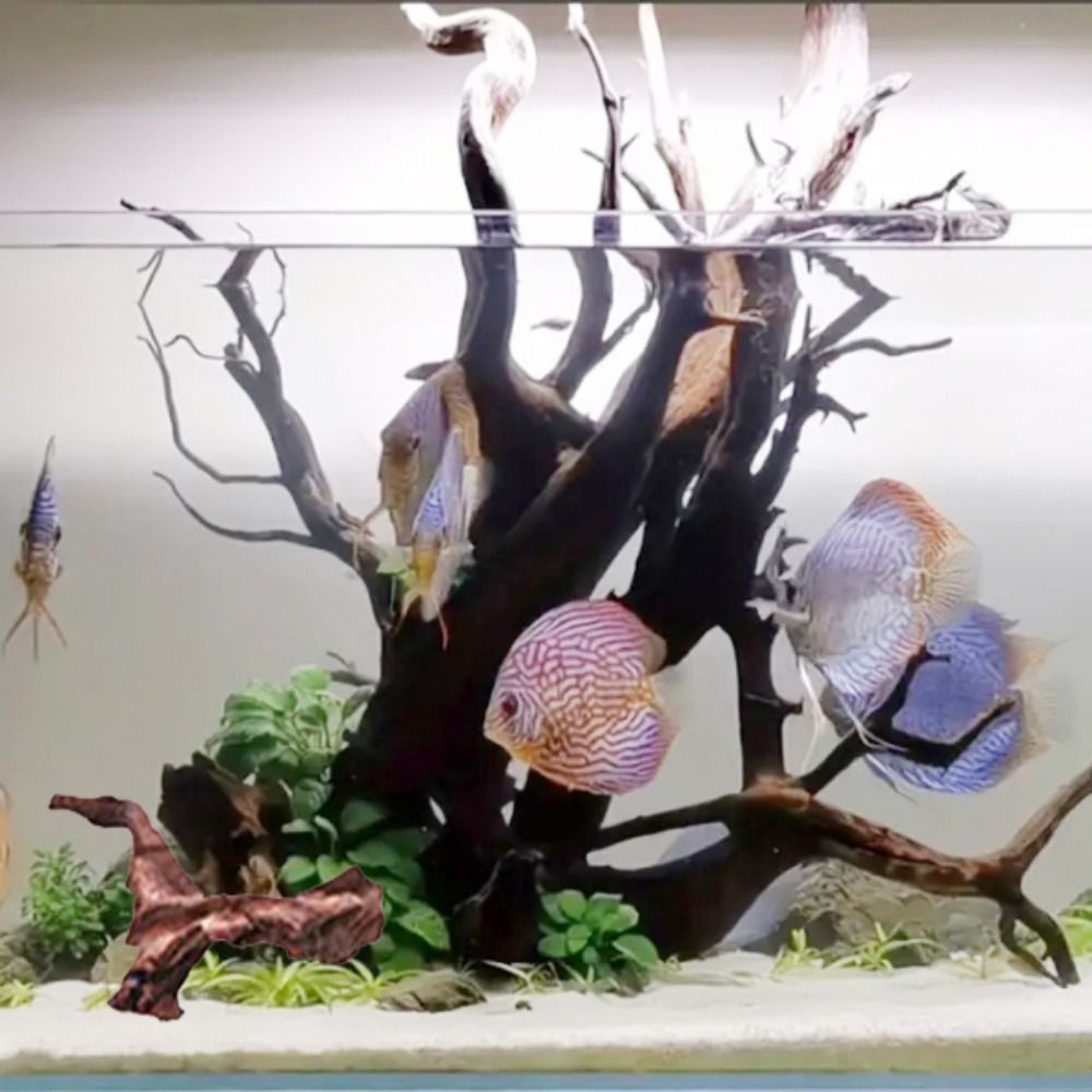 Creative Irregular Shape Coral - огляд і ціна Aquarium Plant Root Tabs