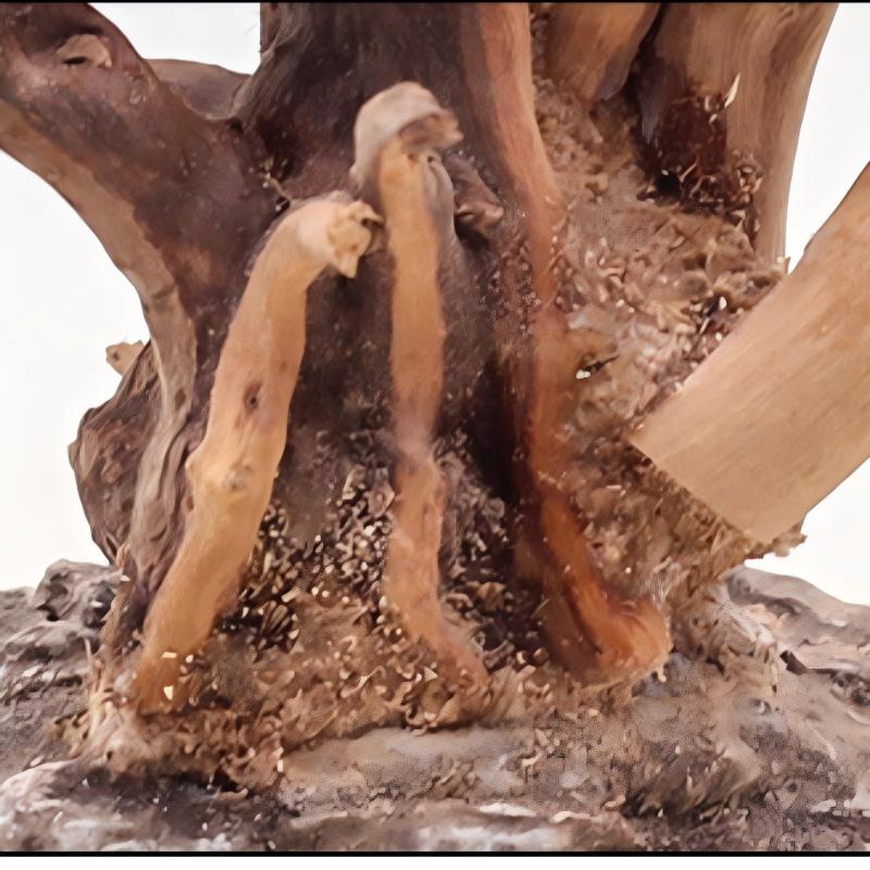 1PC Aquarium Landscaping Wood  - огляд і ціна Aquarium Plant Root Tabs