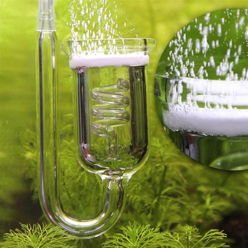 Durable Glass CO2 Diffuser Aqu - огляд і ціна Aquarium Planted Tank Setup