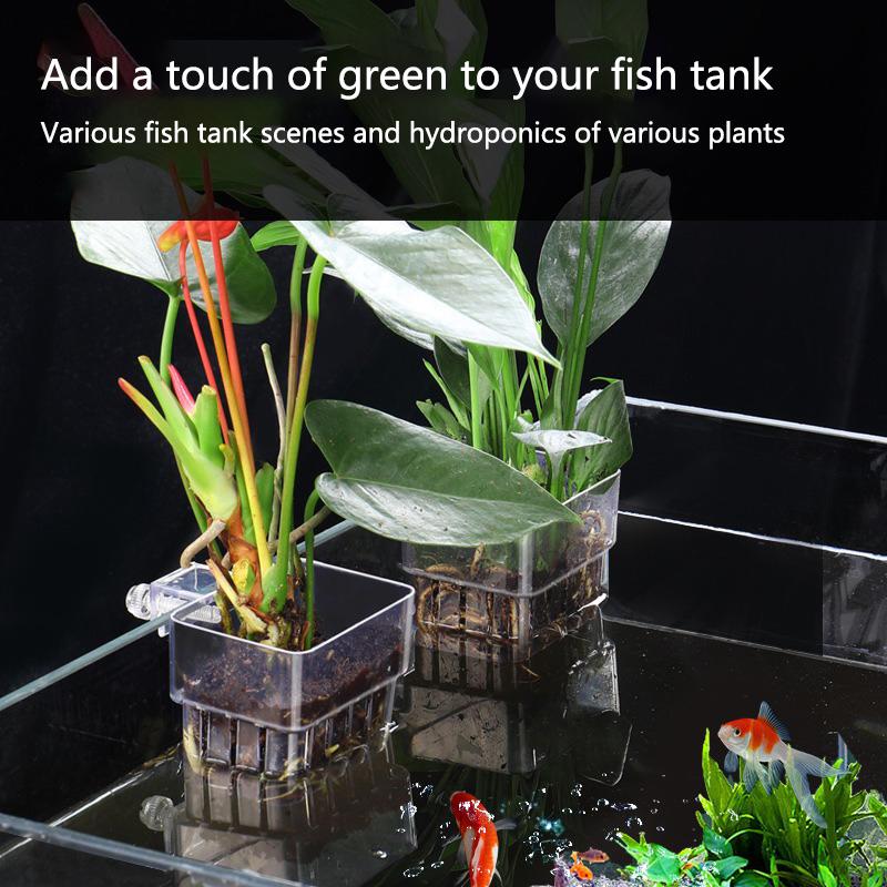 Aquarium Hydroponic Planting C - огляд і ціна Aquarium Planted Tank Setup