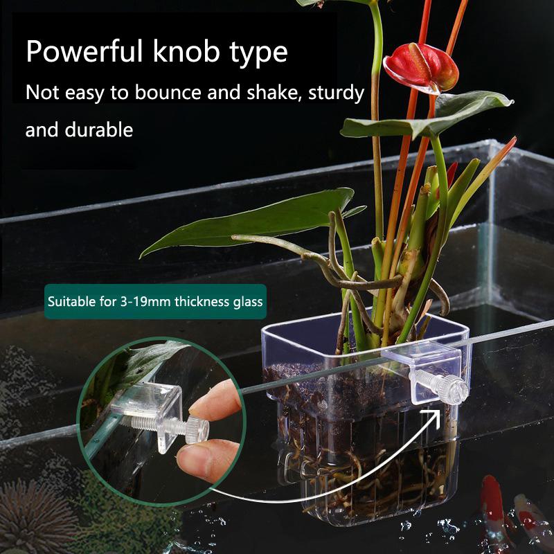 Aquarium Hydroponic Planting C - огляд і ціна Aquarium Planted Tank Setup