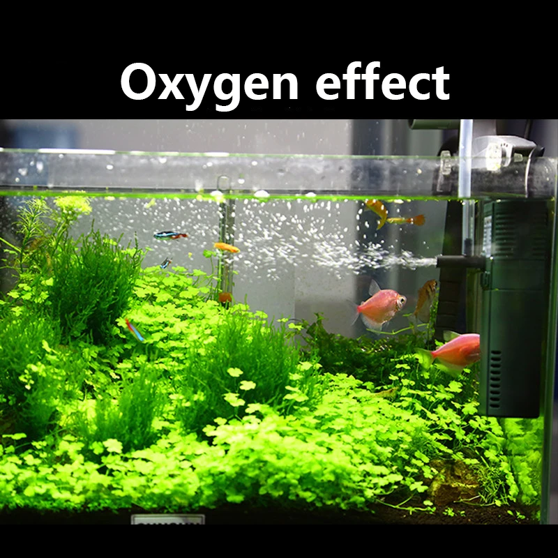 SUNSUN mini nano 111B 311B 611 - огляд і ціна Aquarium Planted Filter